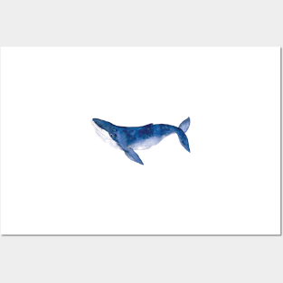 Humpback Whale in watercolor Posters and Art